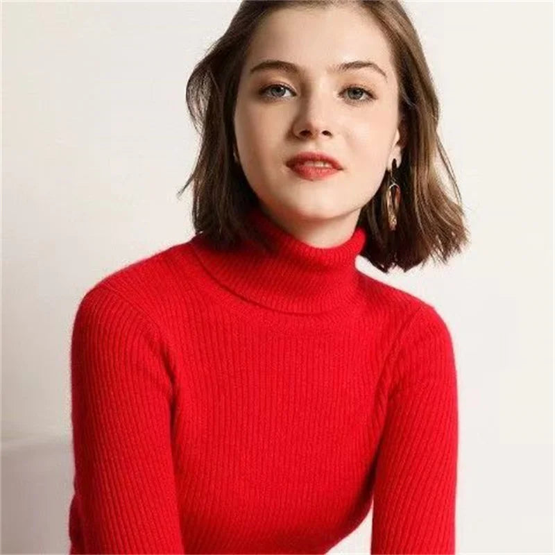 Turtleneck Sweater - Women Autumn Winter Tops, Slim Women Pullover Jumper
